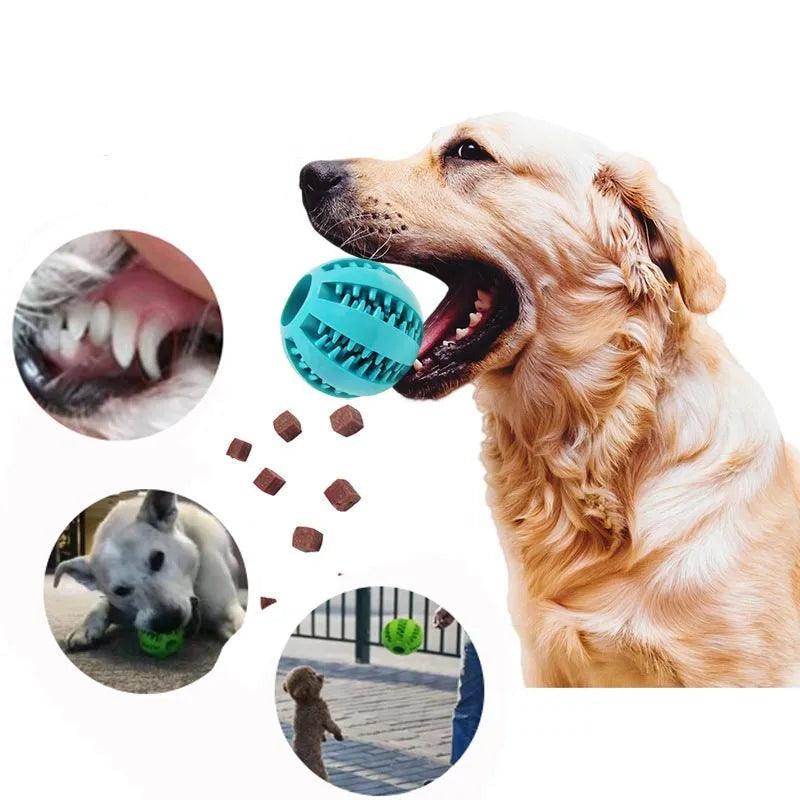 Brinquedo Estimulante Para Cães - Loja clicco