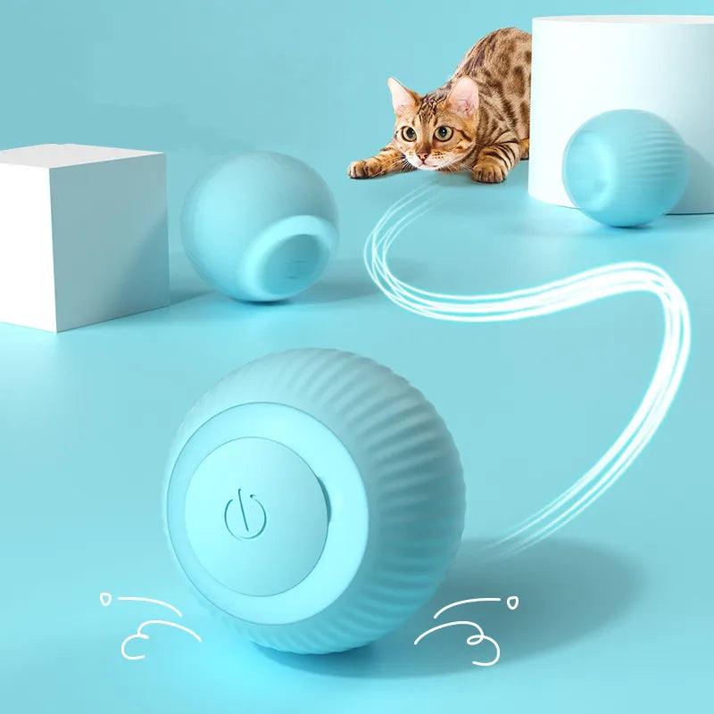 Brinquedos de bola inteligente para gato - Loja clicco