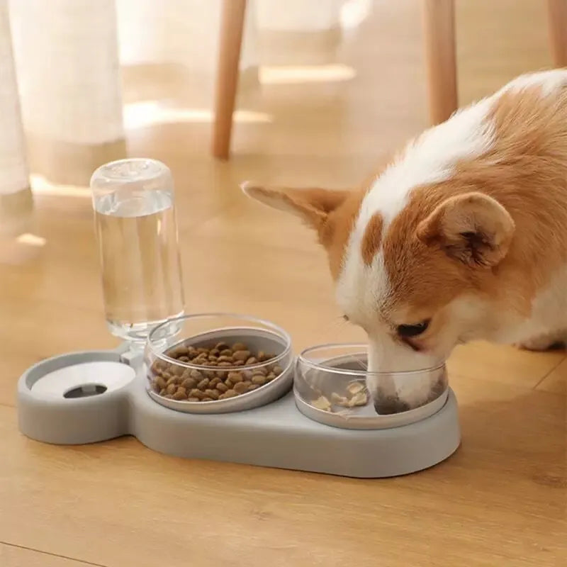 Alimentador Automático 3 em 1: Comedouro e Bebedouro Duplo para Cães e Gatos